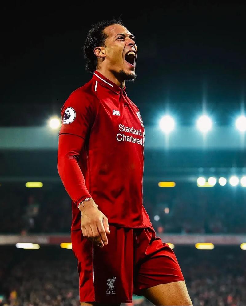 挪威球迷高呼世界杯夺冠，哈兰德：冷静，冷静，我们拭目以待（挪威球迷高喊冲击世界杯冠军，哈兰德回应：保持冷静，拭目以待）