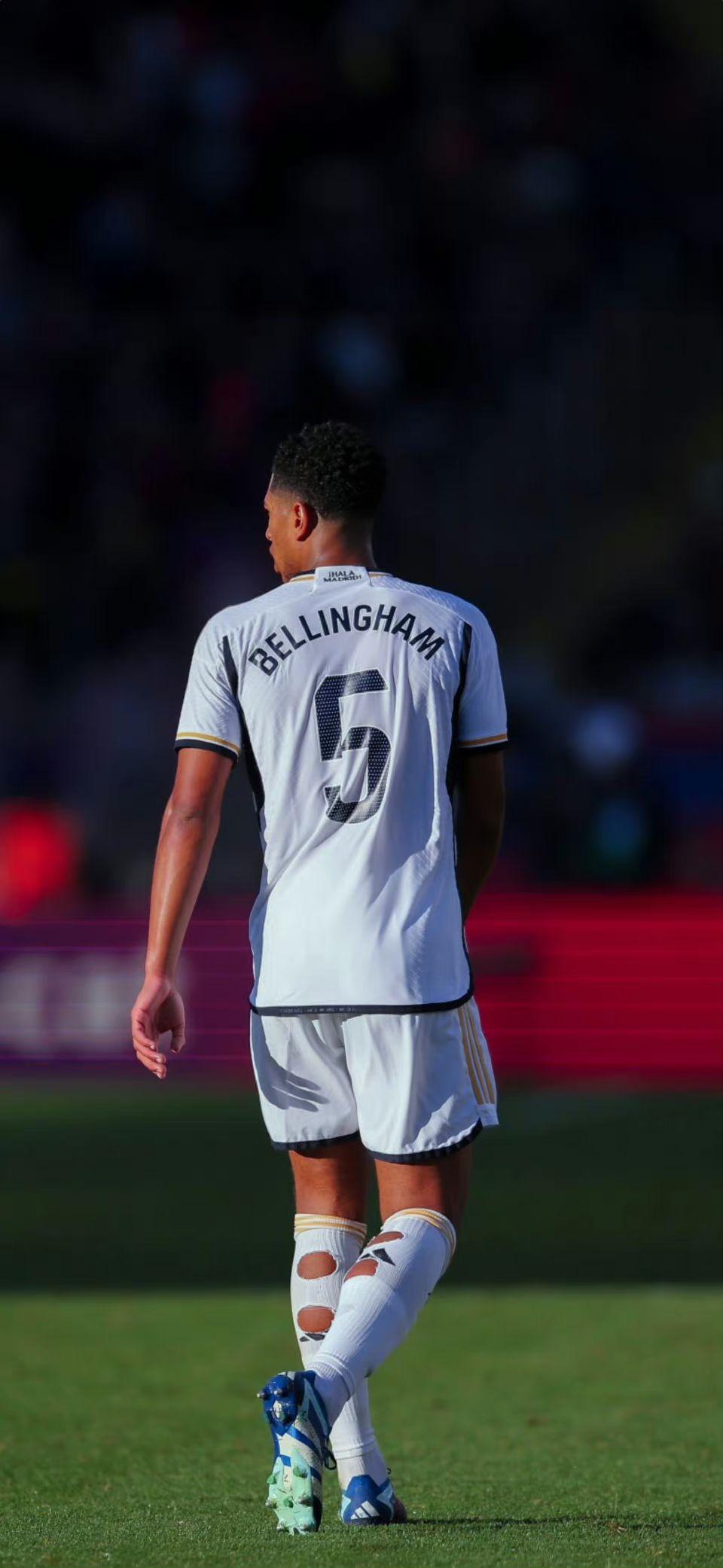 单届世欧预／欧预赛进球榜：哈兰德、莱万16球并列第一（世欧预／欧预赛单届射手榜：哈兰德与莱万同以16球领跑）